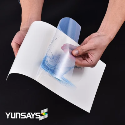 Factory Price Inkjet Self Adhesive Waterproof Sticker Label Film Inkjet Clear Pet Vinyl Materials for Inkjet Printer Afinia VIP Color Memjet Printers