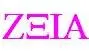 College Wear Manufacturer, Sports Wear, Sleep Wear Supplier - Qingdao Zxia Trading Co., Ltd.
