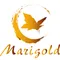 Marigold Garment Accessories Co., Ltd.