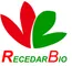 Herbal Extract Manufacturer, Plant Extract, Elderberry Extract Supplier - Wuhan Recedar Biotechnology Co., Ltd.