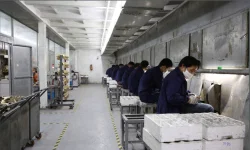 Production Line