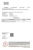 Testing Report