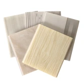PVC Panel