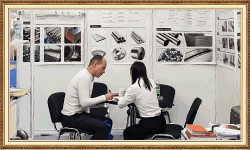 Company activities