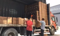 Packaging and Shipping