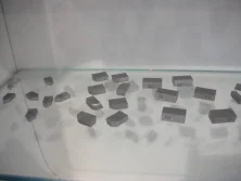 Exhibition show