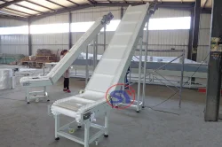 Special Designed&Customized Conveyors for Customers