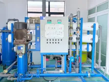 Company profile