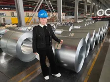 GOODS INSPECTION