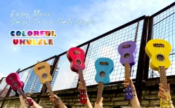 Real photo for ukulele