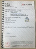 SGS report