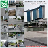 Project in Singapore