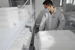 Work Shop