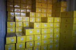Goods shipping container