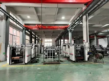 Company Environment