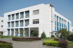 Company