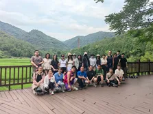 Company Activity