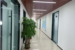 Workplace