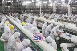 Machine Working at Client's Factory
