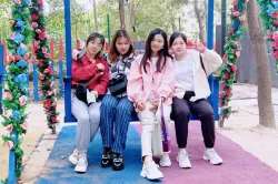 Company Activity