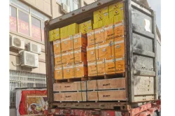 Goods shipping container