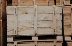 Packing& Packaging