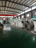 Standard Production Line