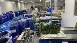 Our factory