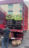 Packaging and logistics