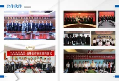 Company Brochure