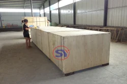 Packing&Delivery Machine at Site