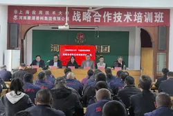 About the company