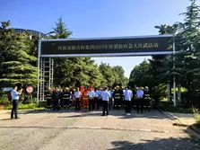 About the company