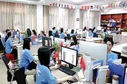 Company Activity&Our Team
