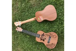 Real photo for ukulele