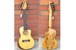 Real photo for ukulele
