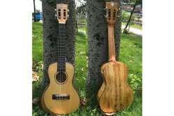 Real photo for ukulele