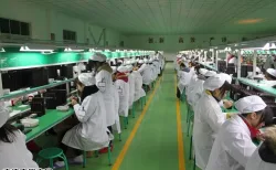 QC / R & D Team
