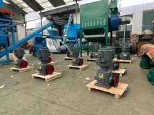 Latest Shipments Showcase