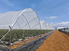 Main Products