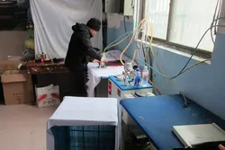 WORKSHOP
