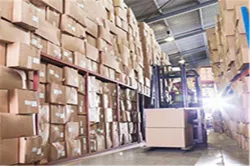 Company Capability
