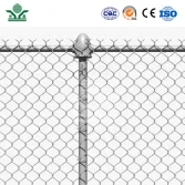 Chain Link Fence