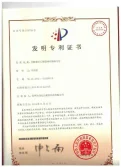 Patent