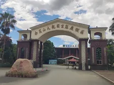Company Activities