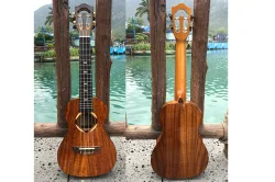 Real photo for ukulele