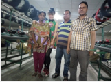 Our customer
