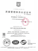 Management system standards
