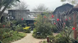 Garden display