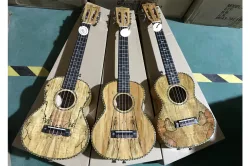 Real photo for ukulele